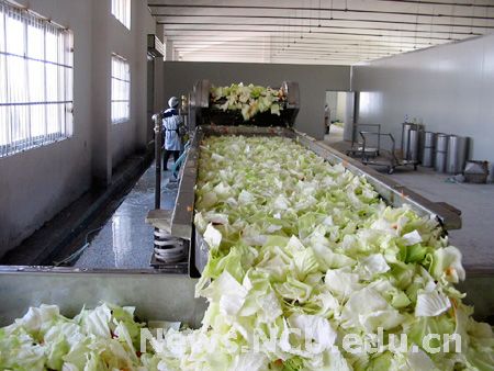 我校参与完成的"直投式生物法泡菜快速生产工艺技术"项目顺利投产