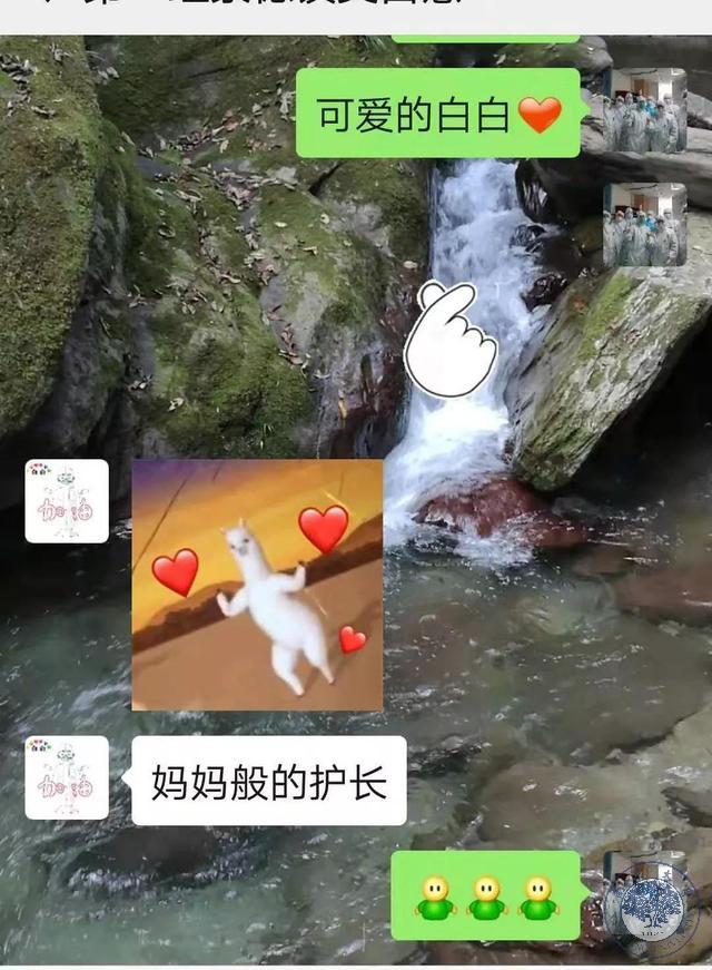 aa101d0b71524fb1973022f51fb2999c.jpg aa101d0b71524fb1973022f51fb2999c.jpg