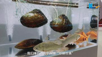 10.15青春2.gif