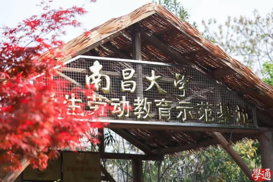 4e0a4619680348809d78fe86b086ab2c.png 4e0a4619680348809d78fe86b086ab2c.png