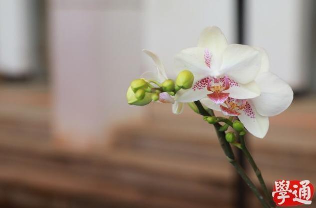 73d6b598834e412cbed61c659a2c7c18.png 73d6b598834e412cbed61c659a2c7c18.png