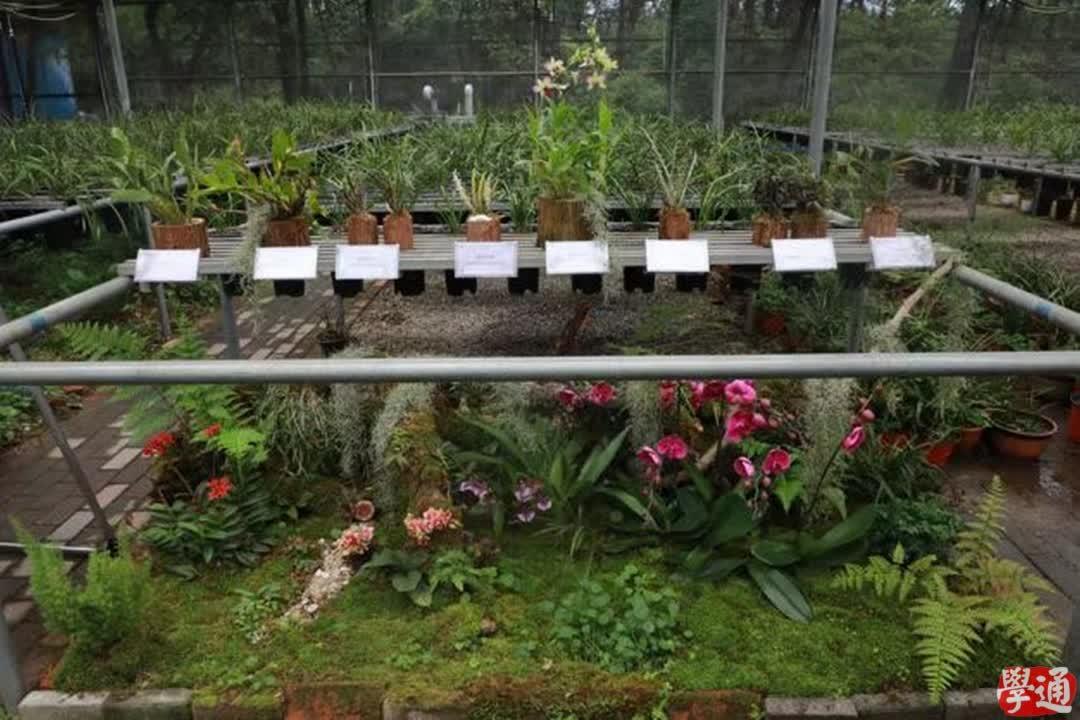 b5c4be1042c24f58a0dacd3a23d1c554.png b5c4be1042c24f58a0dacd3a23d1c554.png