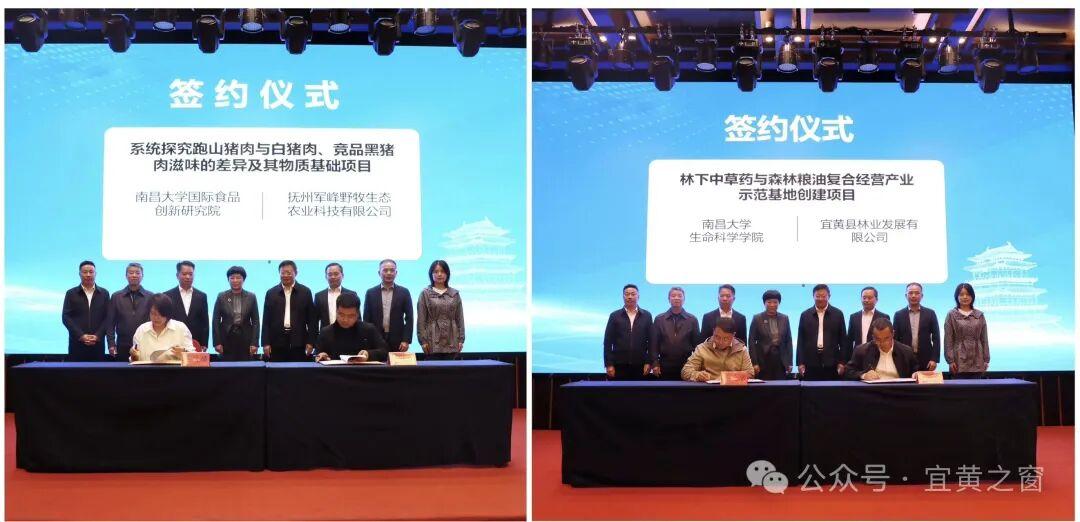 e501a886b2af4434b70fe8207f2c8082.png e501a886b2af4434b70fe8207f2c8082.png