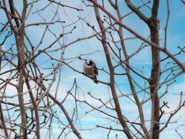 0719f5bc4b01444ea0b71ee3b0172b39.png 0719f5bc4b01444ea0b71ee3b0172b39.png