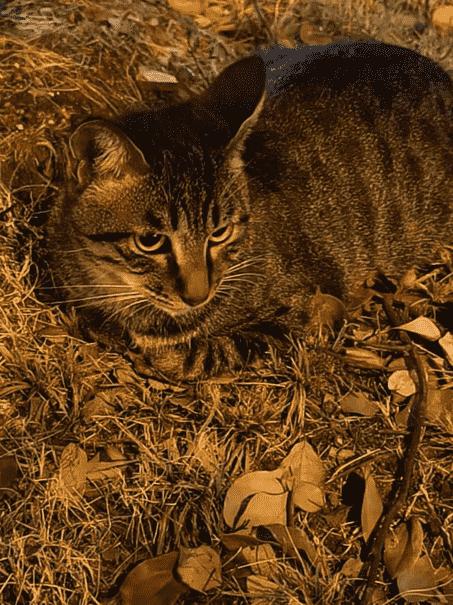 1cefb6f6bcf34eae996029976683b2e6.png 1cefb6f6bcf34eae996029976683b2e6.png