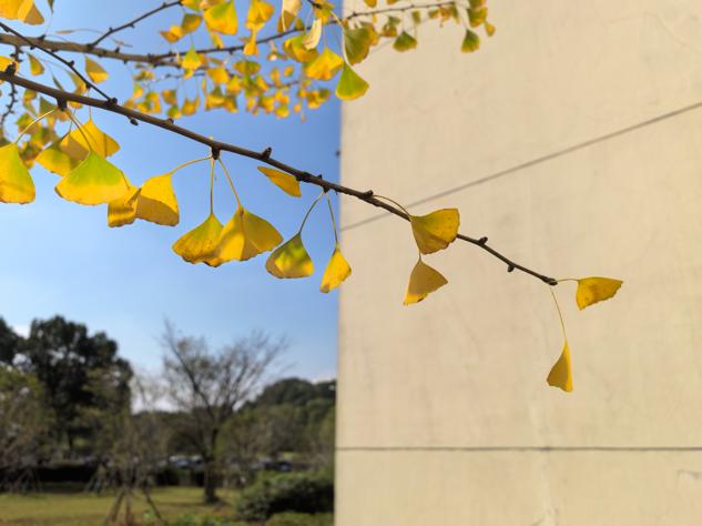 410797661e514991820b38736bc845a0.png 410797661e514991820b38736bc845a0.png