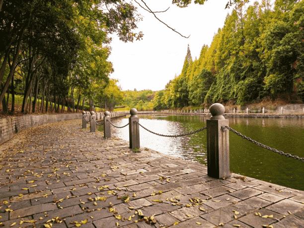 44ef83065aca490b8ec924cf6b212765.png 44ef83065aca490b8ec924cf6b212765.png