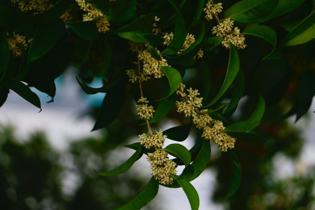 5c32f979042e4ada86d09c1ca16cfd06.png 5c32f979042e4ada86d09c1ca16cfd06.png