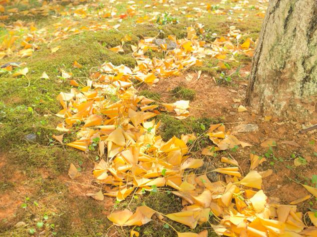 671947742c5a4094b1cc9e981f00cd93.png 671947742c5a4094b1cc9e981f00cd93.png