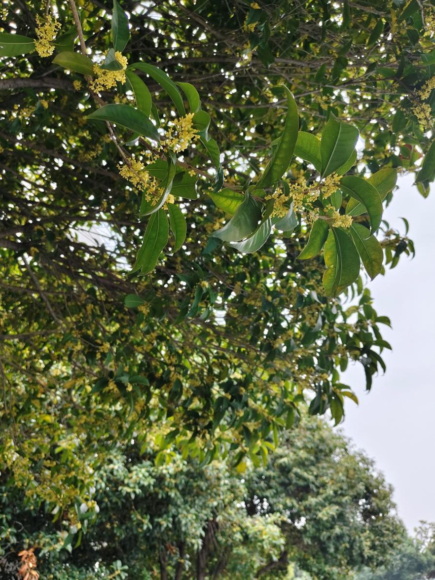 76d27f30602c4a80979dd74c6abe0040.png 76d27f30602c4a80979dd74c6abe0040.png