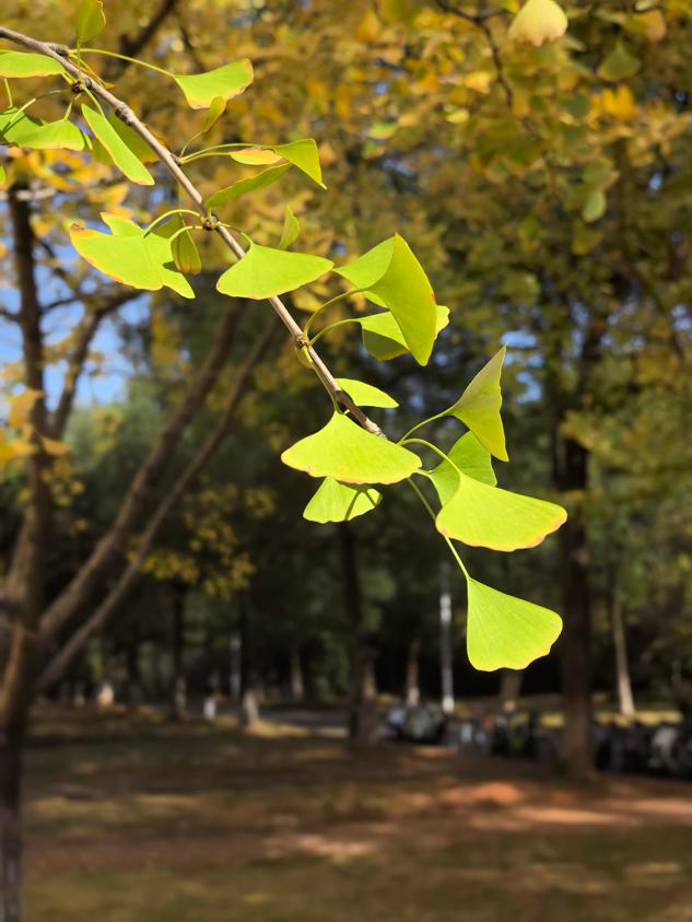 76eb289a9303457b9da26a3b9173edde.png 76eb289a9303457b9da26a3b9173edde.png