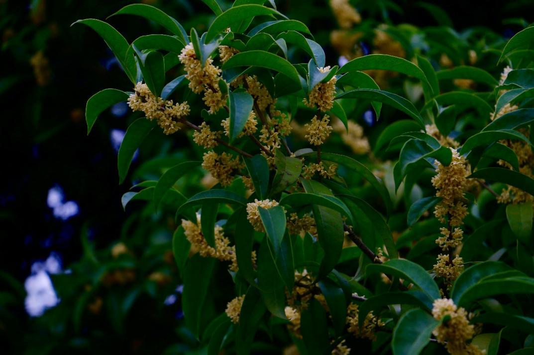 82c631b6a76f472cbe32d00ede508cd8.png 82c631b6a76f472cbe32d00ede508cd8.png