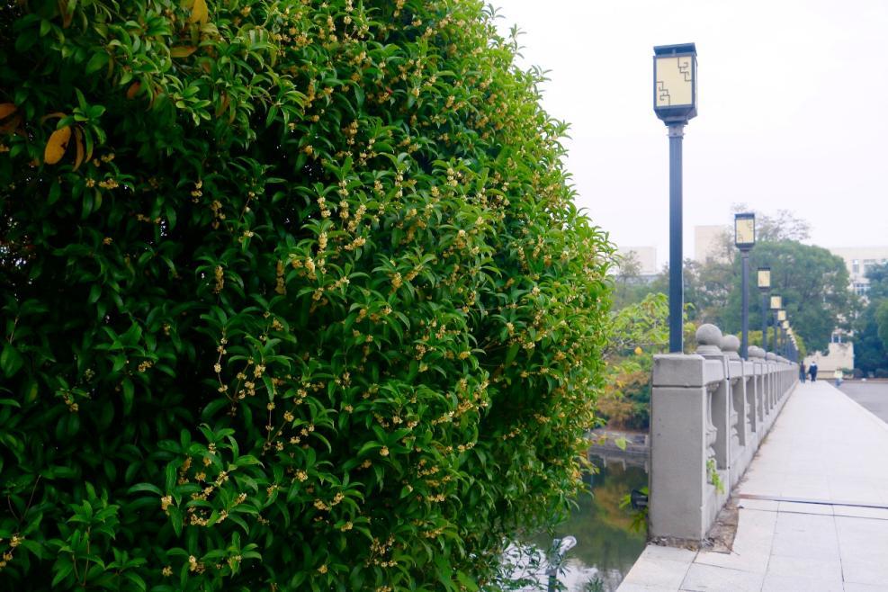 8e67c052c91447c6892cb09b6c0c2d20.png 8e67c052c91447c6892cb09b6c0c2d20.png