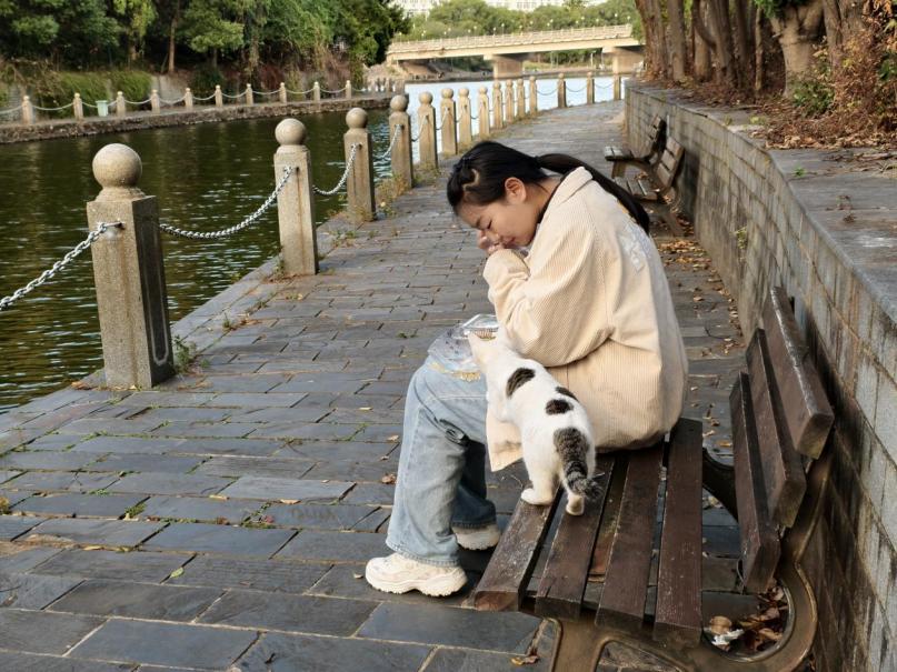 a6b8b2a790e54873aba1520f39e9be01.png a6b8b2a790e54873aba1520f39e9be01.png