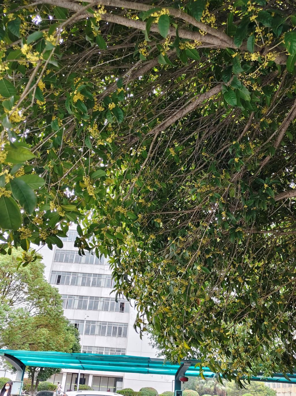 a92251944ec646968bc26fdb32a55403.png a92251944ec646968bc26fdb32a55403.png