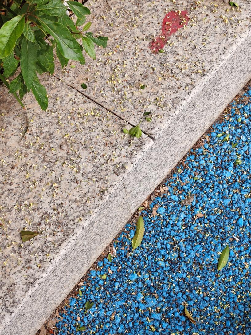 b4e653eeca304a689b3dee914b1ddcb4.png b4e653eeca304a689b3dee914b1ddcb4.png