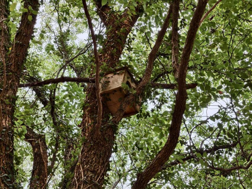 c44d1484150e4abc932e4f336333f2a1.png c44d1484150e4abc932e4f336333f2a1.png