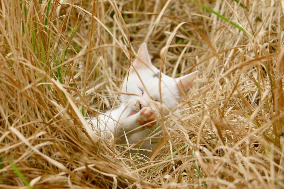 d10f4038254248bdb1e40ff61f89c37f.png d10f4038254248bdb1e40ff61f89c37f.png