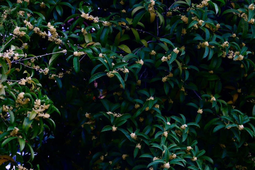 d1df583e0587484e9527a9504730c741.png d1df583e0587484e9527a9504730c741.png