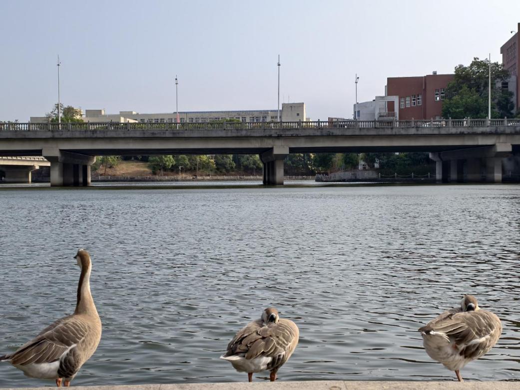 e8786b56d47f4ff7bdc4b1505827265d.png e8786b56d47f4ff7bdc4b1505827265d.png