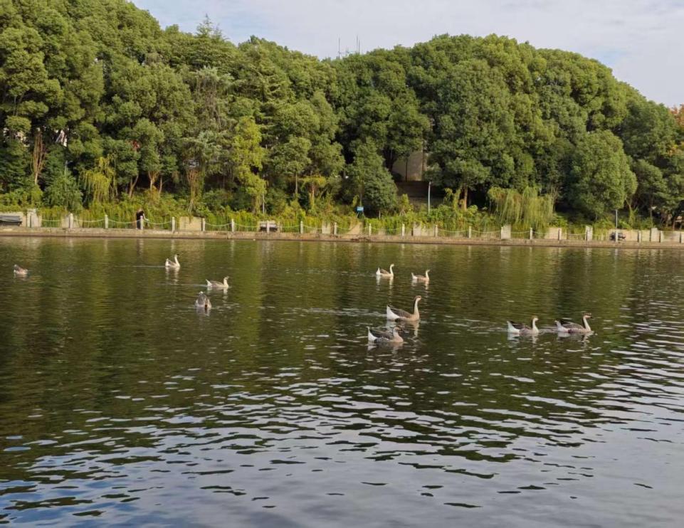 efa7f450014f43018ba51c4e4cfb7236.png efa7f450014f43018ba51c4e4cfb7236.png