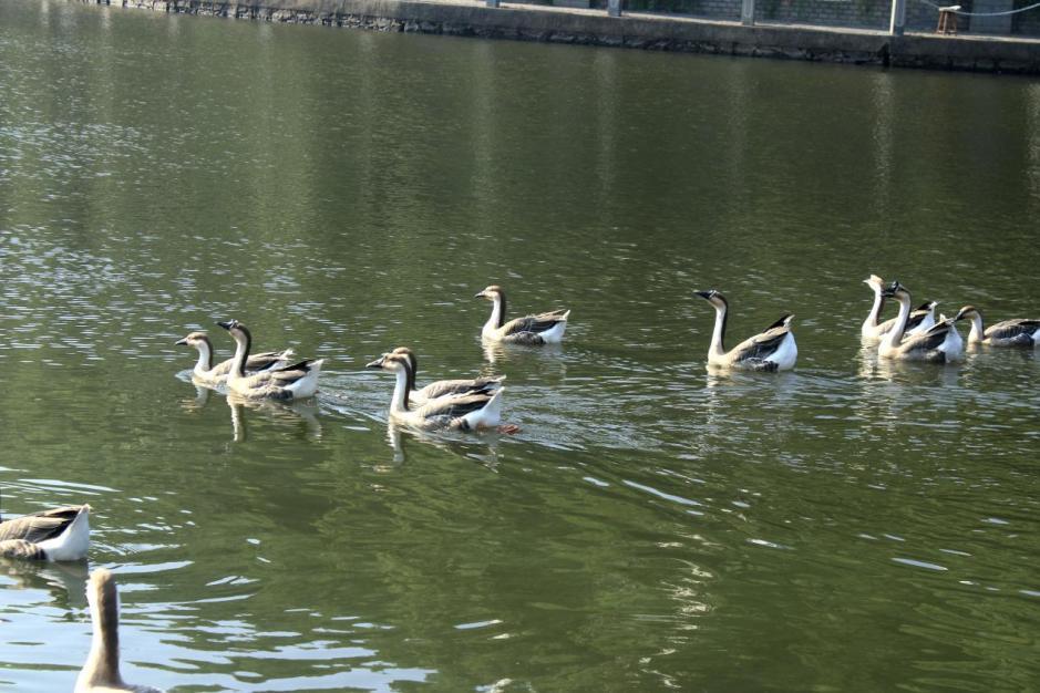 f6edc97e9015411580b59dc0535a576a.png f6edc97e9015411580b59dc0535a576a.png