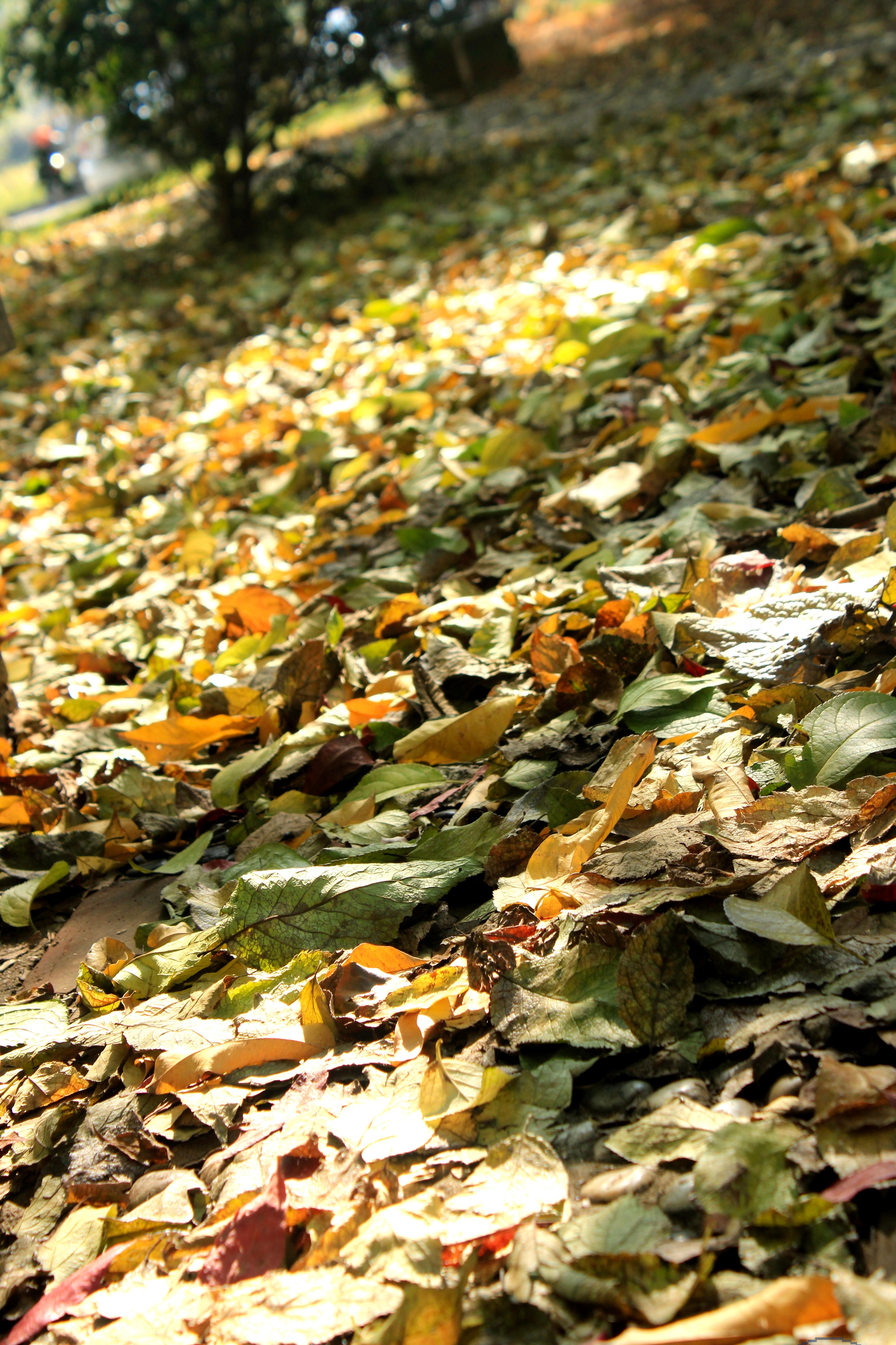 56c6b353c5de4240a4e8095854e29baa.jpg 56c6b353c5de4240a4e8095854e29baa.jpg