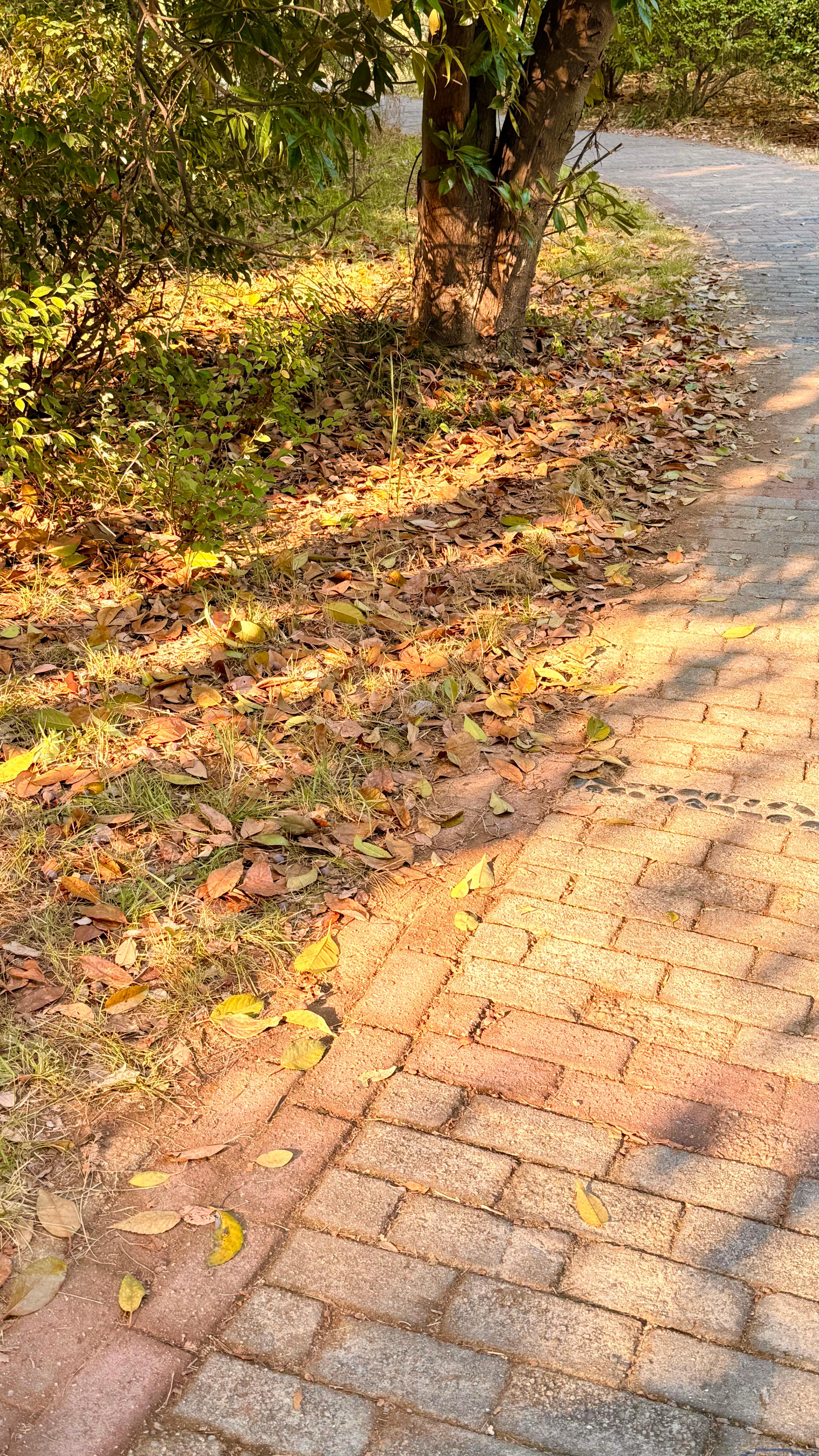 d004035c51f74ab6a4a74533cbbc017d.jpg d004035c51f74ab6a4a74533cbbc017d.jpg