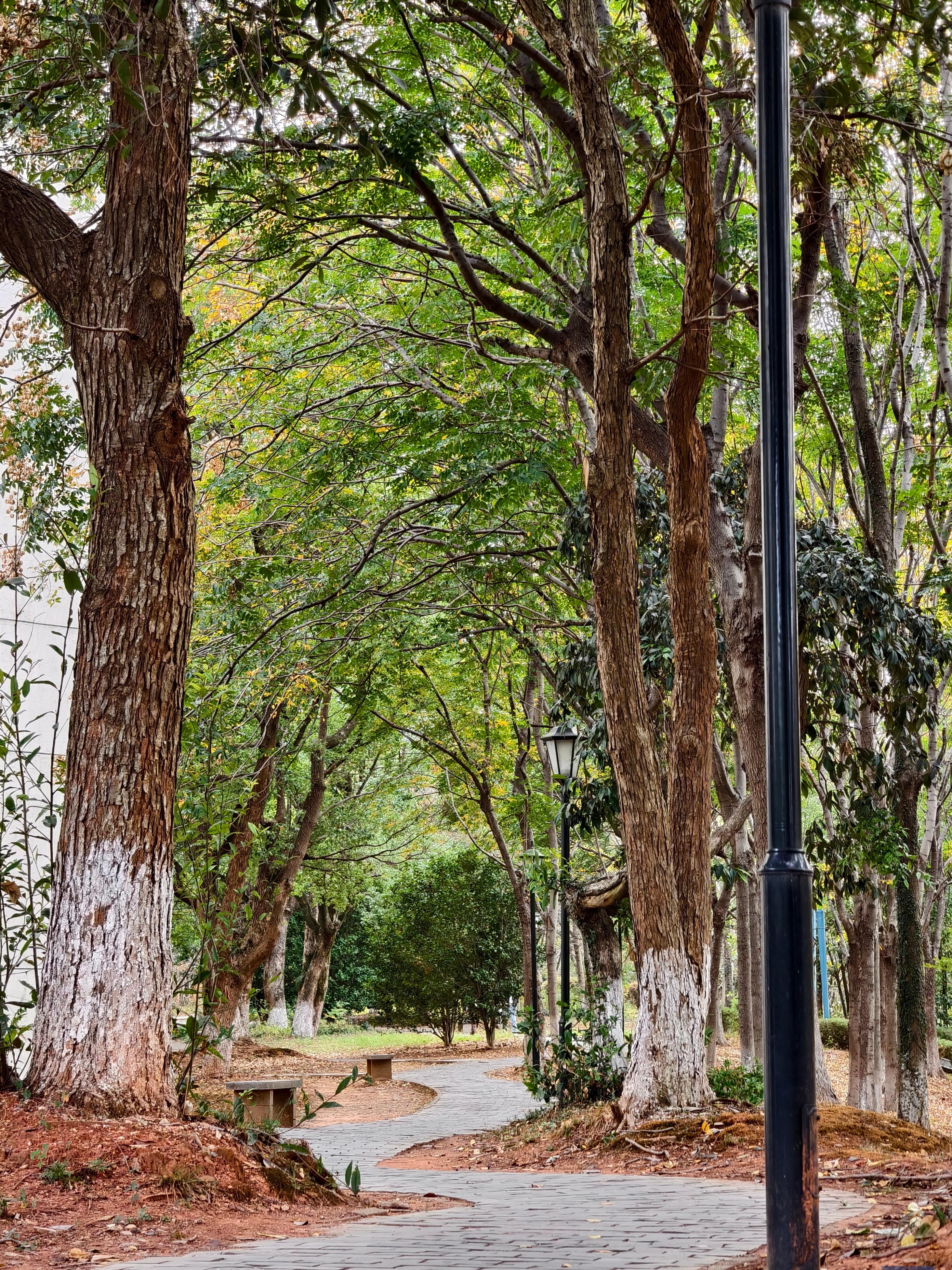 d4389651d11d4f9192e33c51ab4f44b1.jpg d4389651d11d4f9192e33c51ab4f44b1.jpg