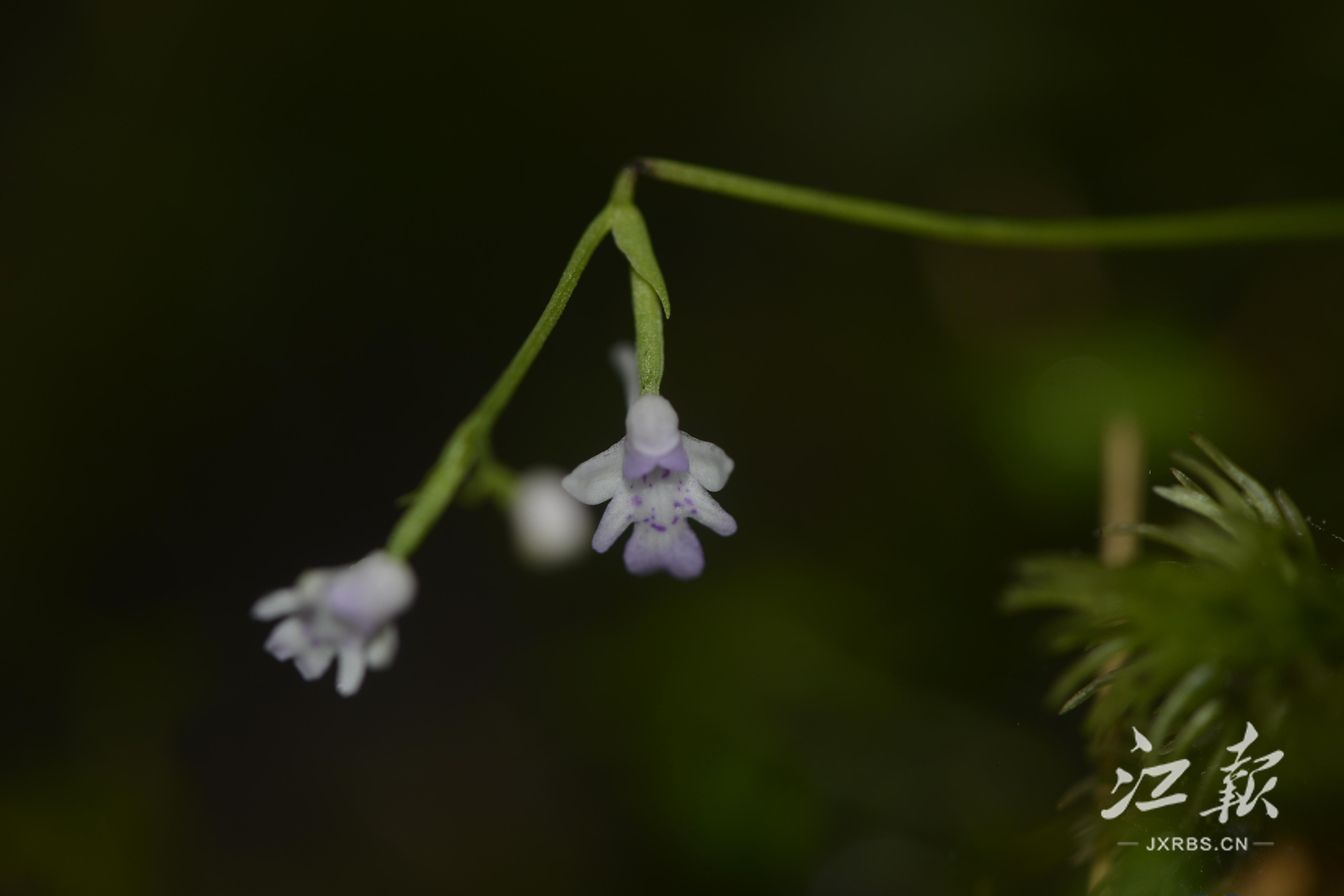 20fbb90acc9f43a1af60f06403018078.jpg 20fbb90acc9f43a1af60f06403018078.jpg