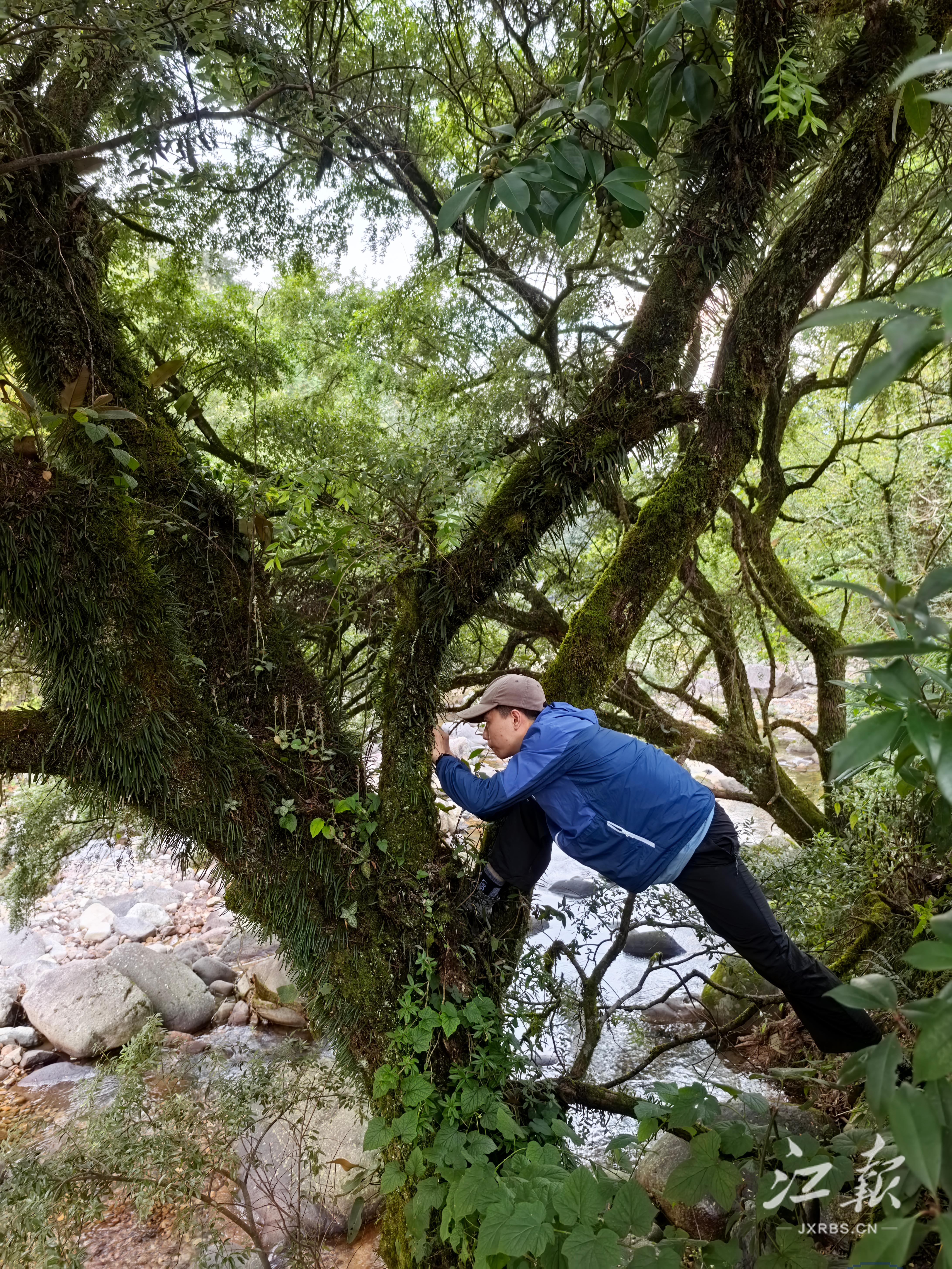 98994aad2de1431ebbbe7837d755d635.jpg 98994aad2de1431ebbbe7837d755d635.jpg