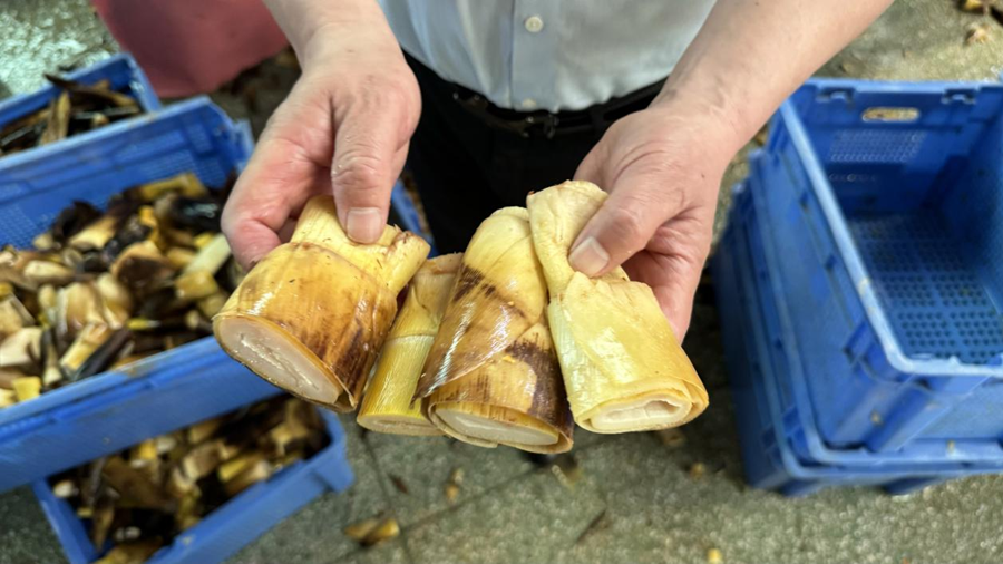 “变废为宝”里的科技密码——南昌大学以竹笋副产物高值化利用赋能乡村振兴